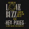 Love Buzz - A Night of Grunge &amp; 90s Alt with Hey Pixies [Live]
