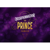 The Prince Experience...Endorphinmachine