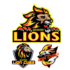 Leicester Lions Speedway Track And Pavilion