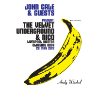 John Cale - POPtical Illusion Tour 25