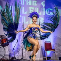 The Candlelight Club's Spring Ball