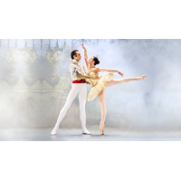 Sleeping Beauty: the Pantomime