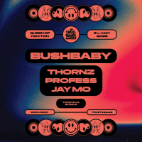 Free Range Sounds: Bushbaby