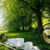 Sunset Sefton Park Meditation &amp; Sound Healing