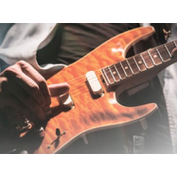 Brothers In Band the Dire Straits (Tribute Show)