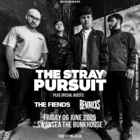 The Stray Pursuit