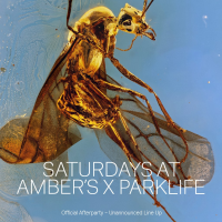 Saturdays x Parklife